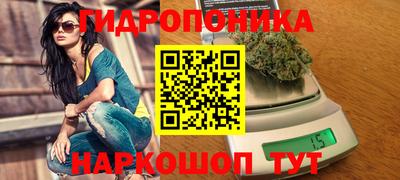 МДПВ Гусев
